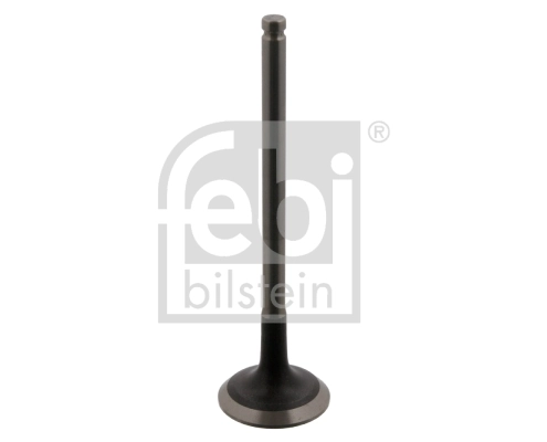 Exhaust Valve